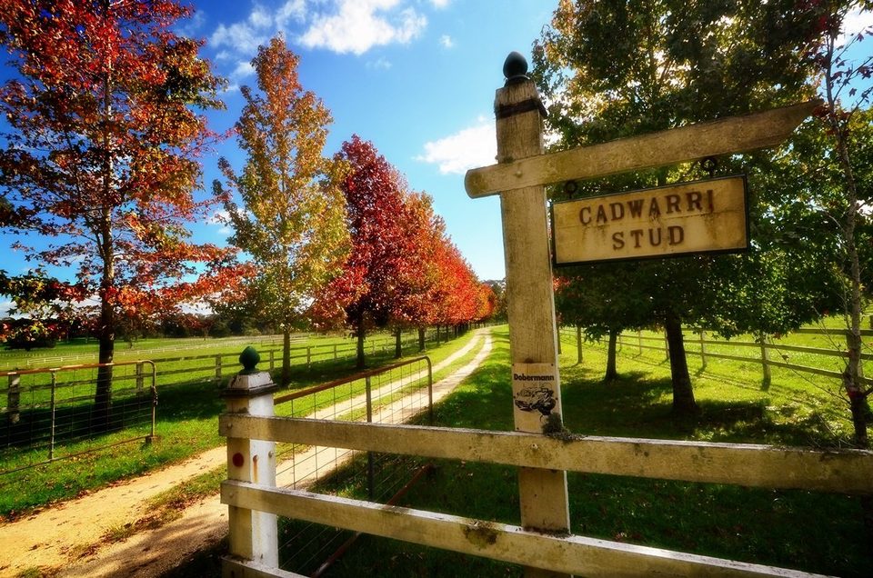 Falling in love with fall, photo 18