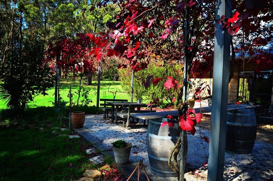 Falling in love with fall, photo 19