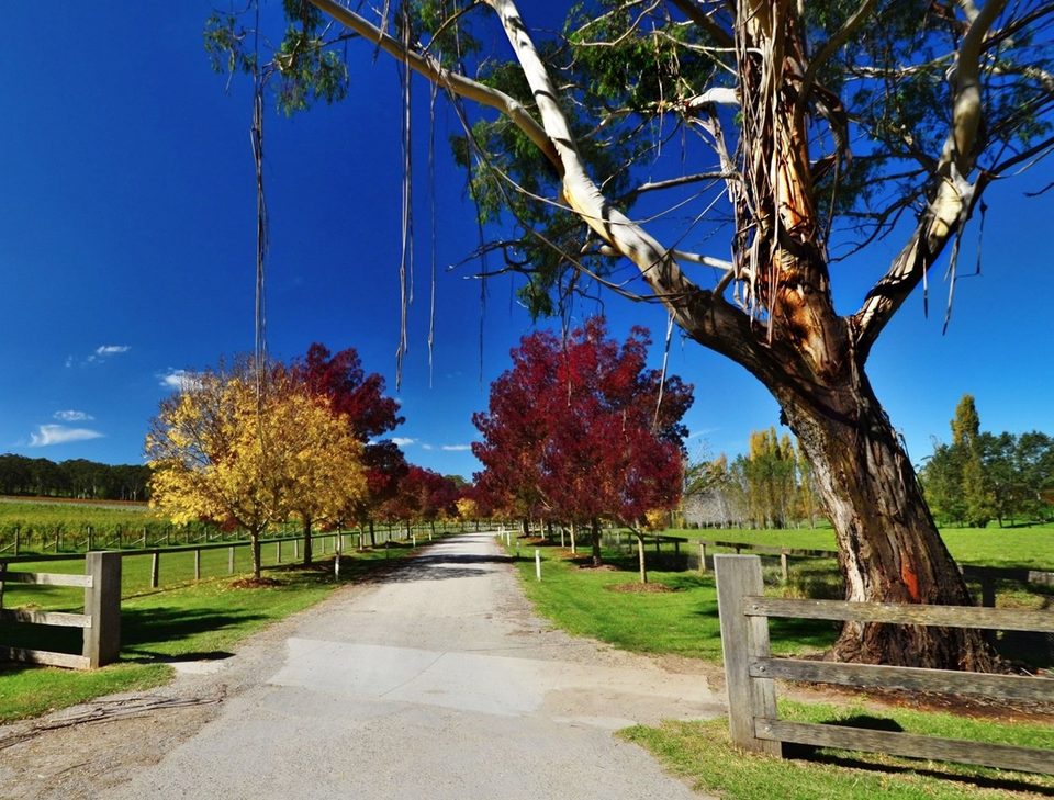 Australia, photo 40