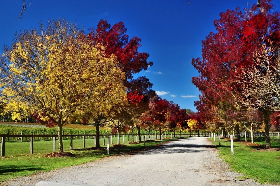Southern Highlands of New South Wales, Australia