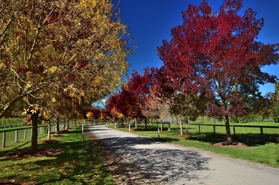 Falling in love with fall, photo 5