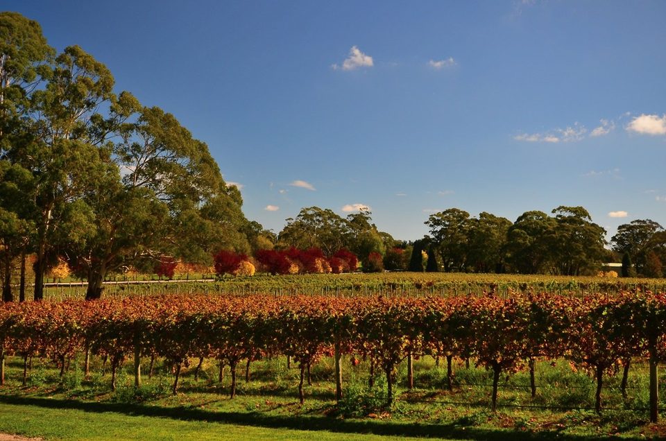 Falling in love with fall, photo 9