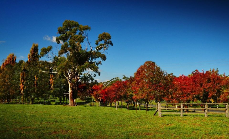 Falling in love with fall, photo 15