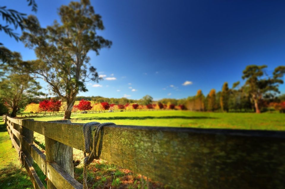 Falling in love with fall, photo 4
