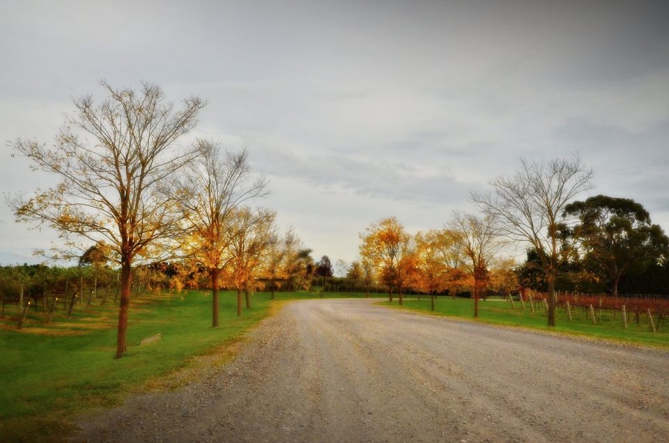 Falling in love with fall, photo 11