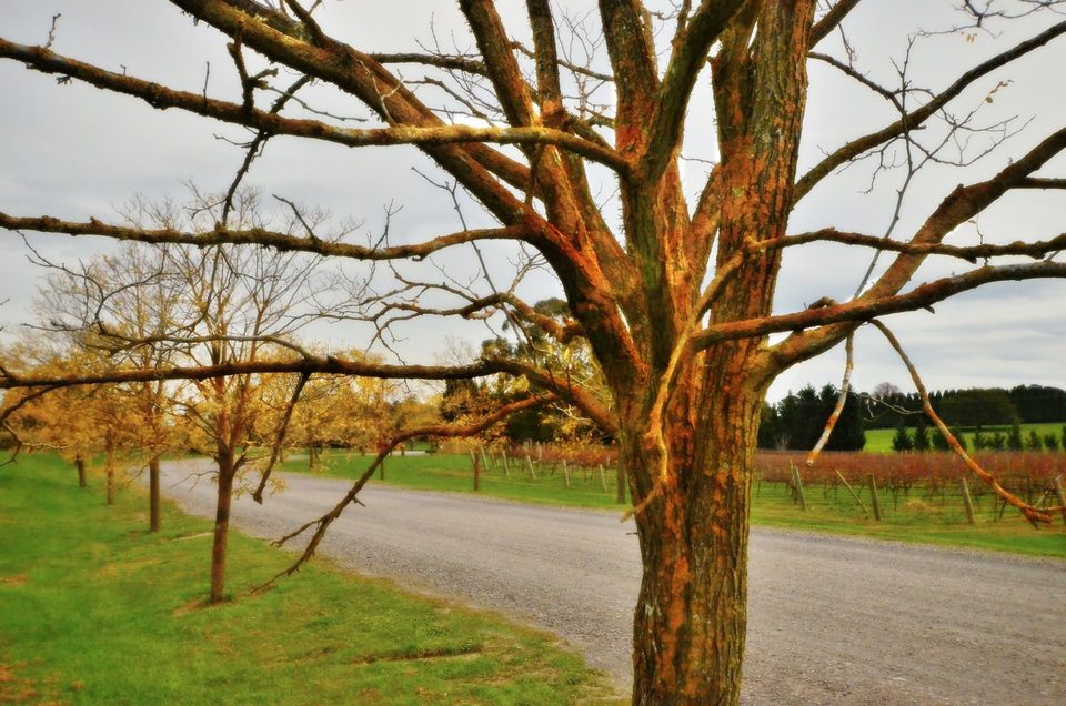 Falling in love with fall, photo 10
