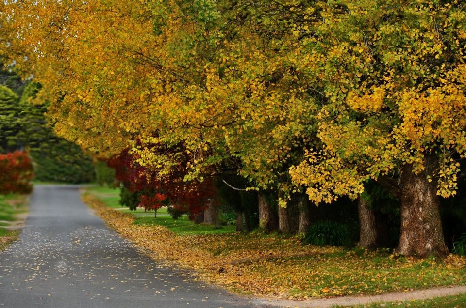 Falling in love with fall, photo 21