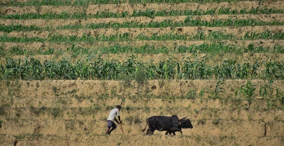 Nepal - where life is simply simple., photo 71