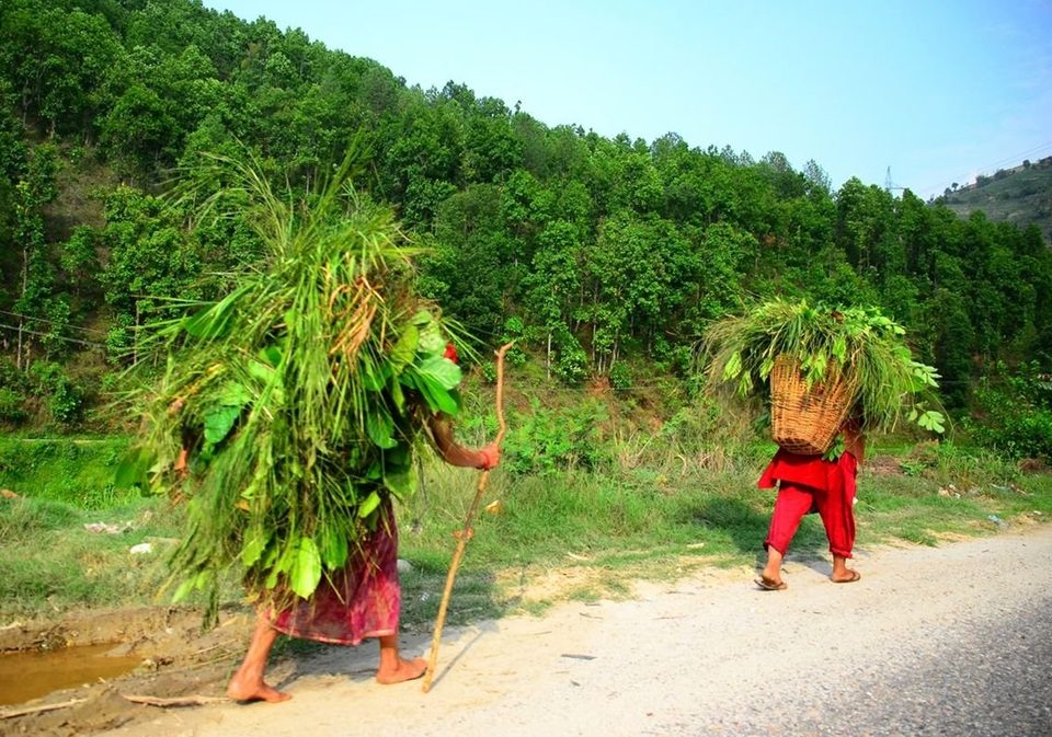 Nepali porters / Thaprek