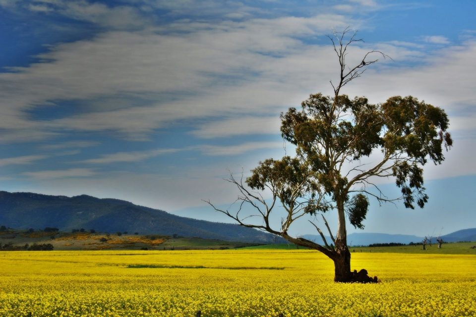 Tasmania Northeastern coast