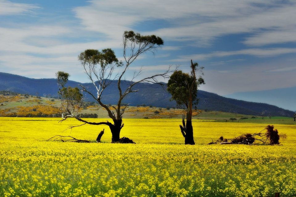 Tasmania Northeastern coast