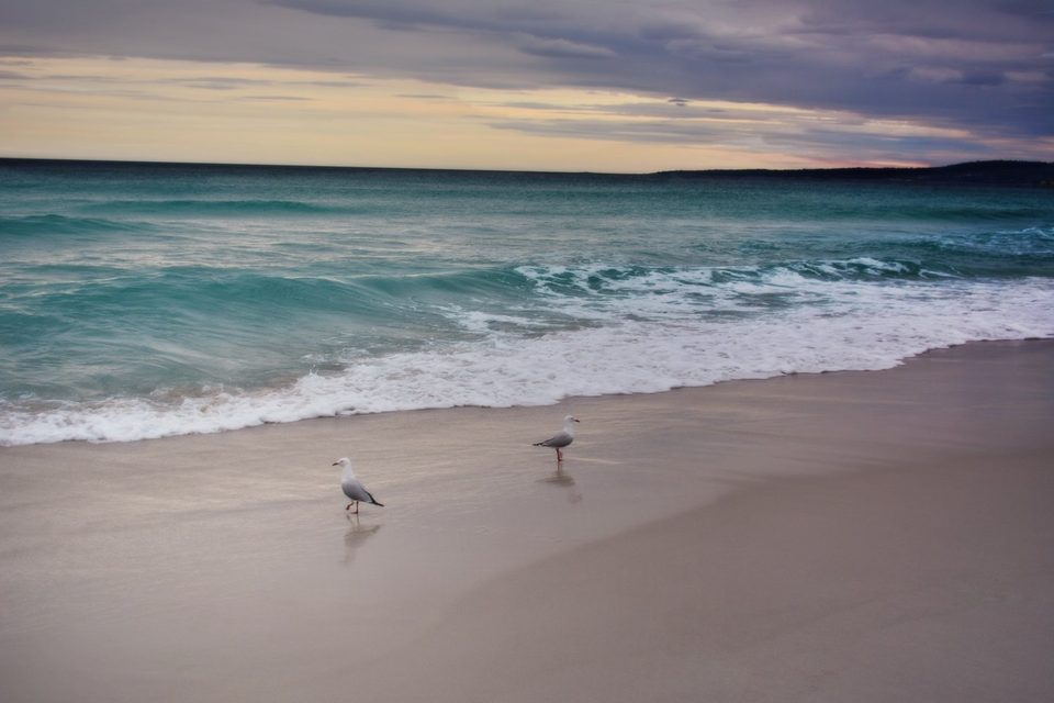 East Coasts