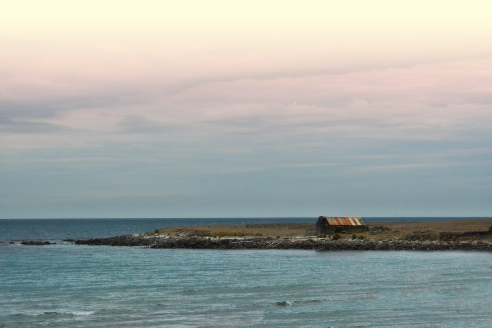 Oyster Bay