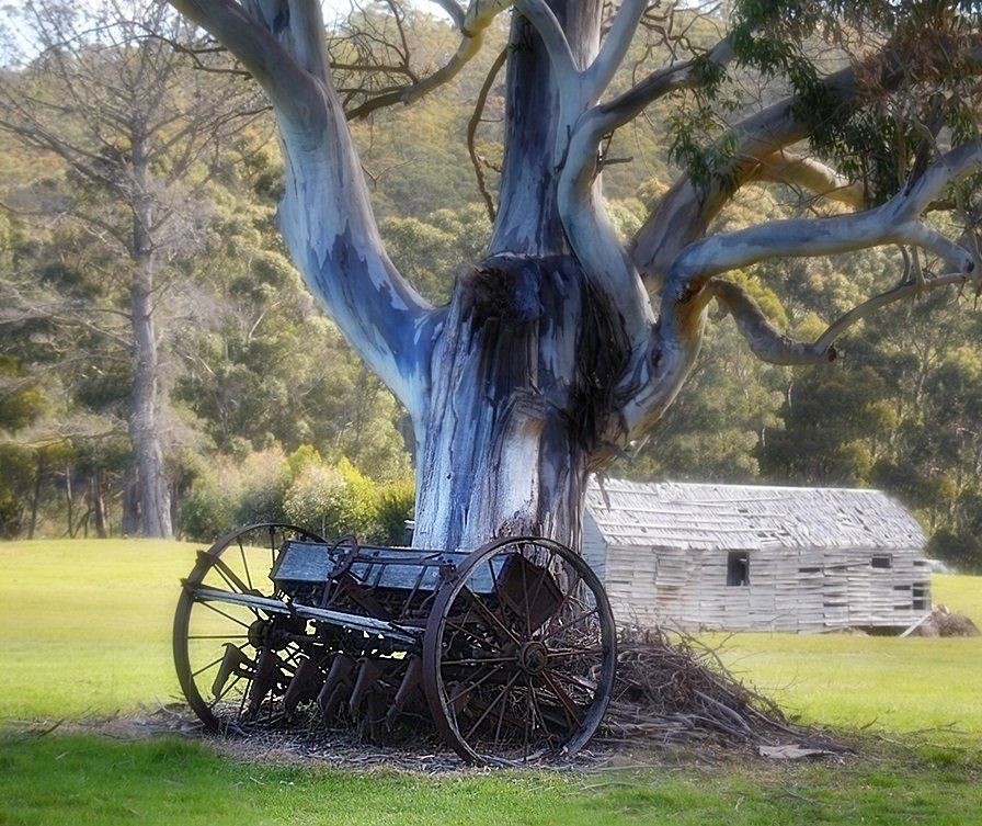 The Huon Trail on the way to Huonville
