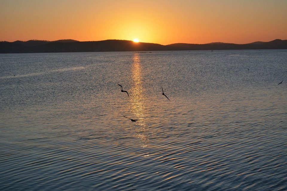 Tasmanian Sunrise