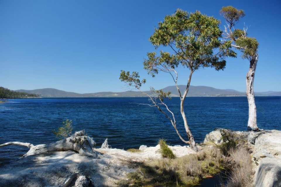 The Huon Trail on the way to Huonville