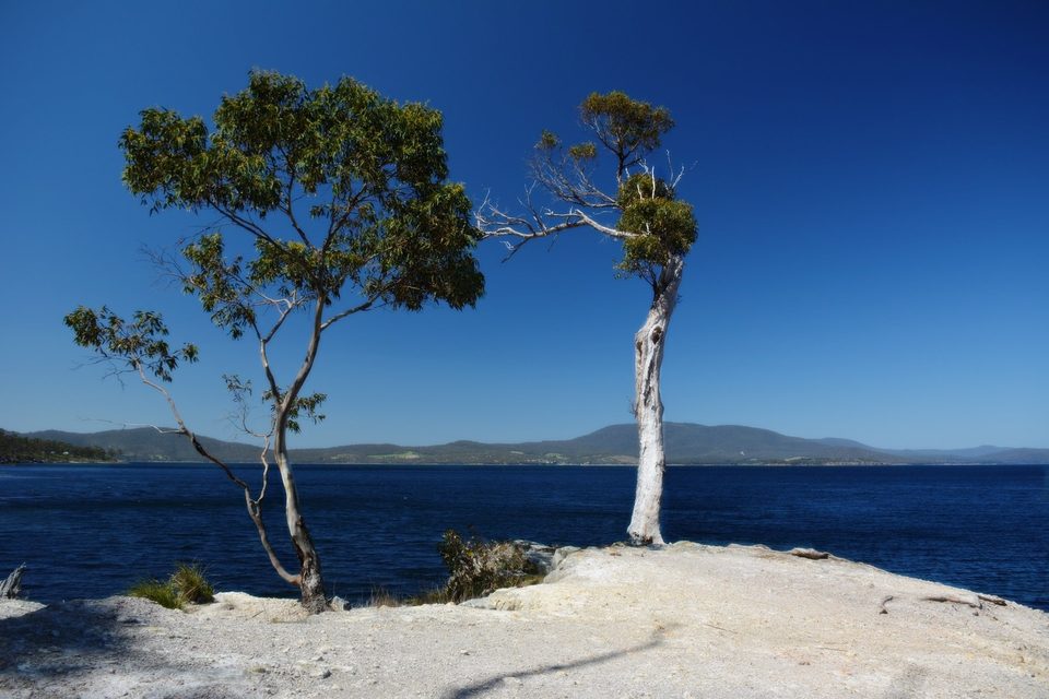 The Huon Trail on the way to Huonville
