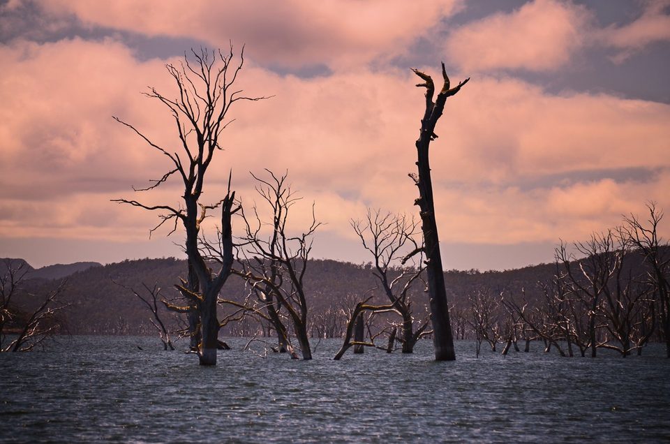 Woods Lake