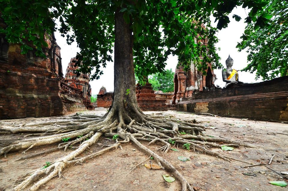 Ayutthaya , North Thailand