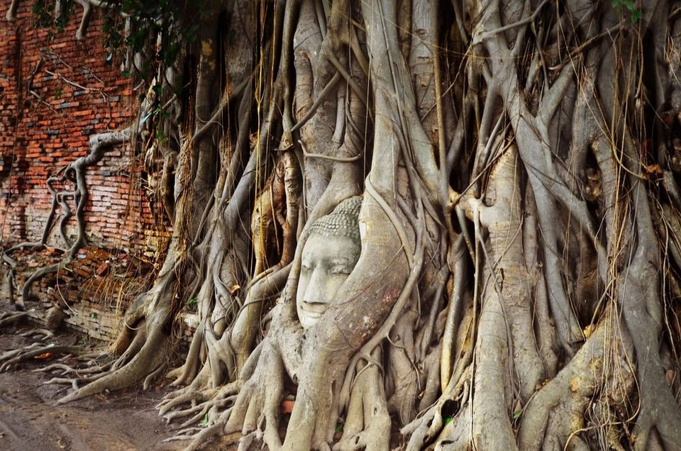 Ayutthaya's famous Buddha, North Thailand