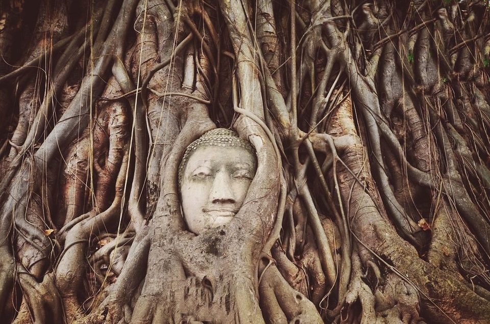 Ayutthaya's famous Buddha