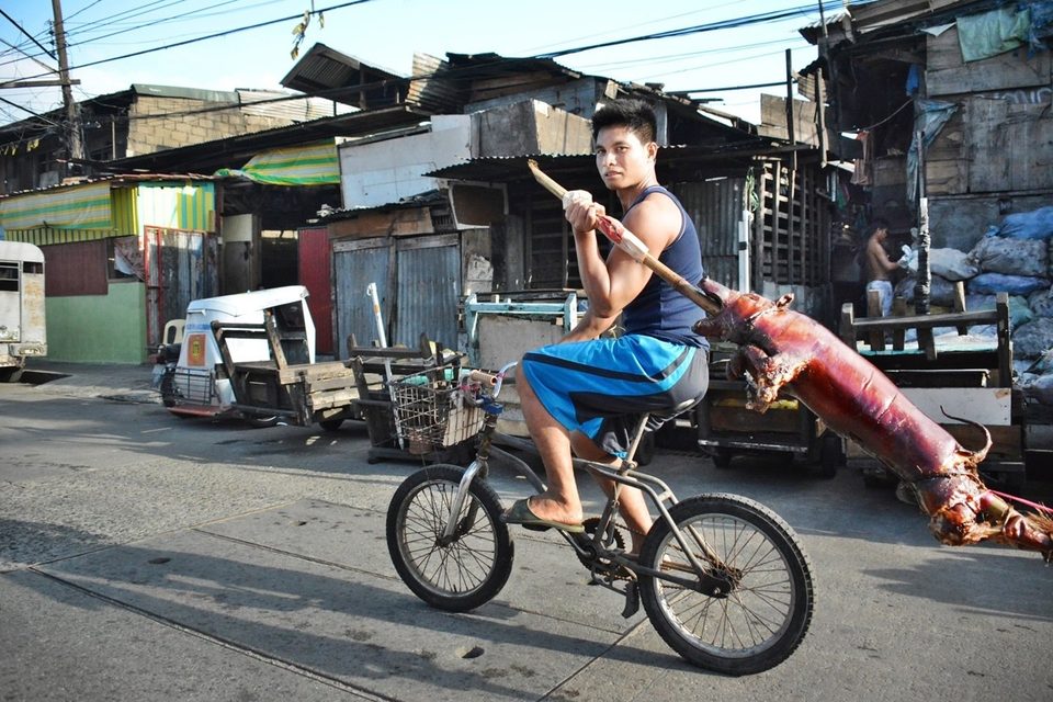 Delivering roasted pig called Lechon, special festive Filipino food