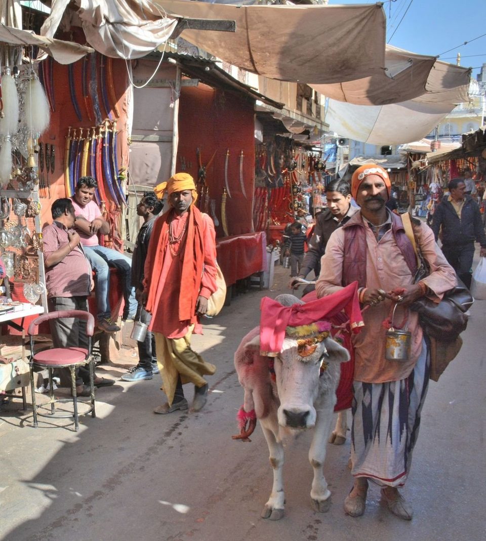 Pushkar streets