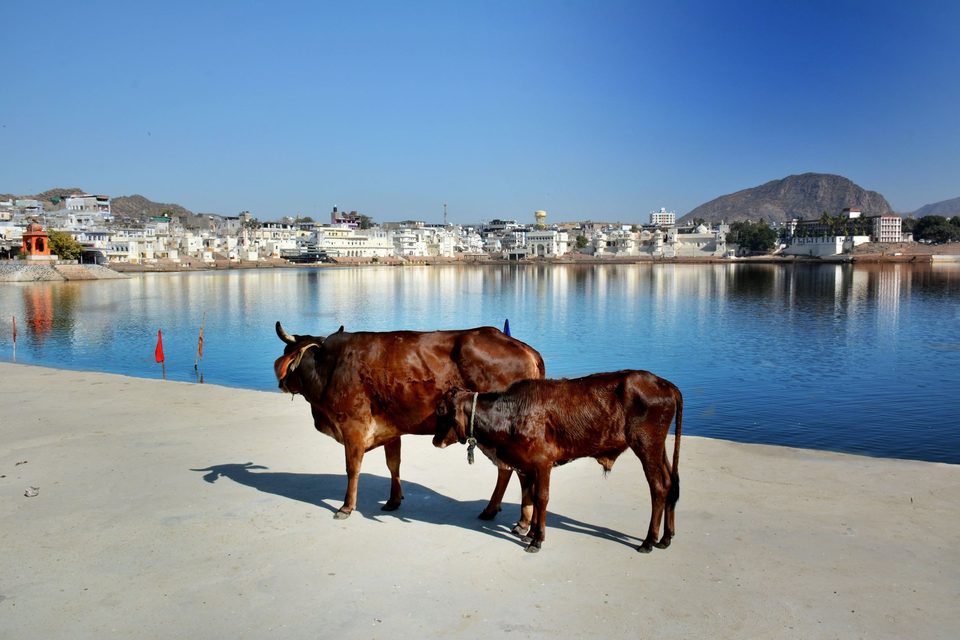 Pushkar lake, one of the most sacred places in India