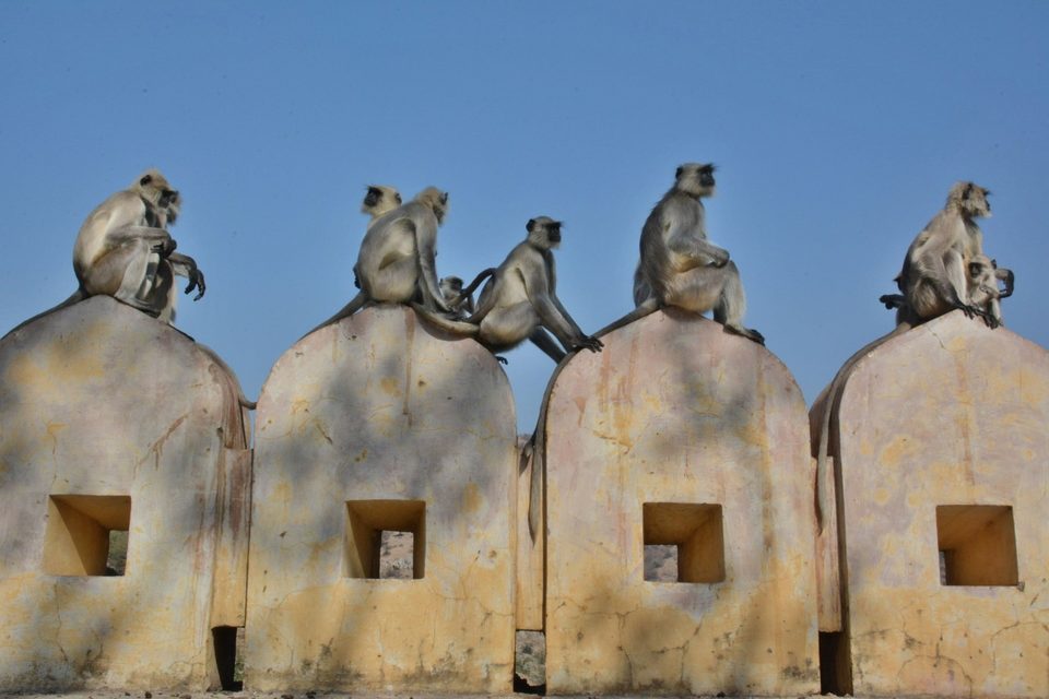 Rajasthan state old part of Jaipur