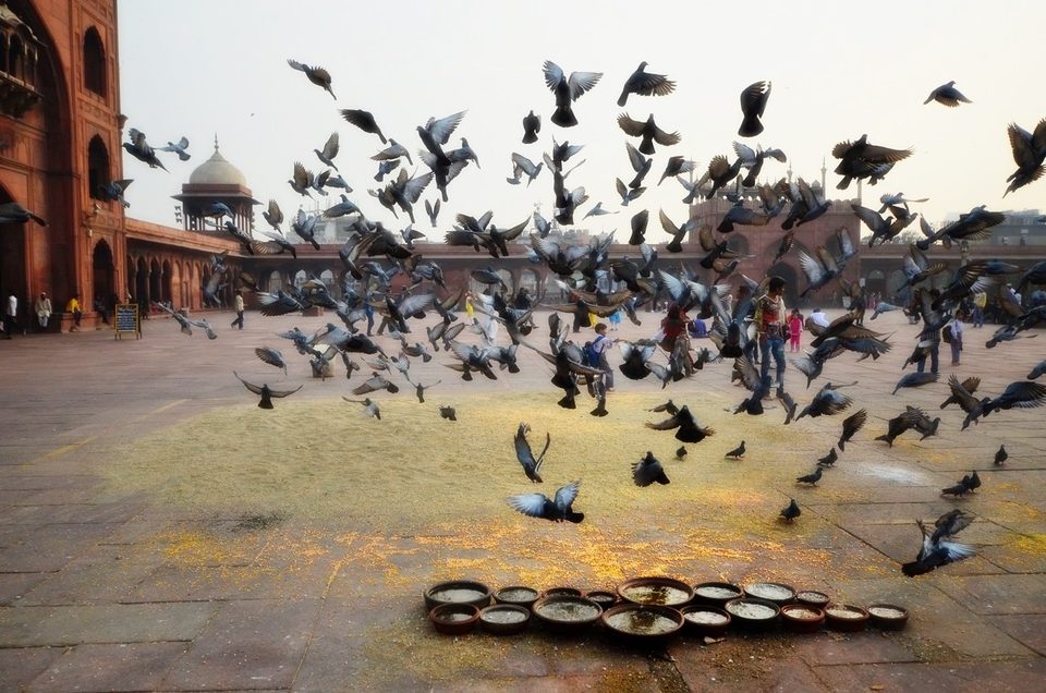 Jama Masjid mosque, Delhi