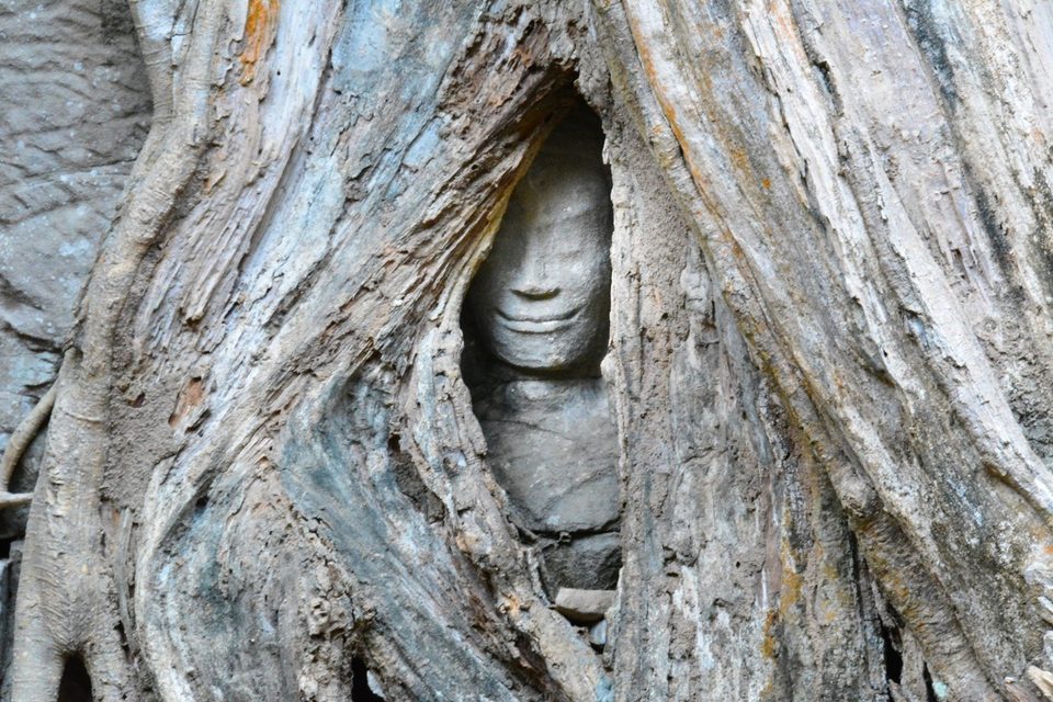 Ta Prohm, a temple bound by massive roots of huge trees