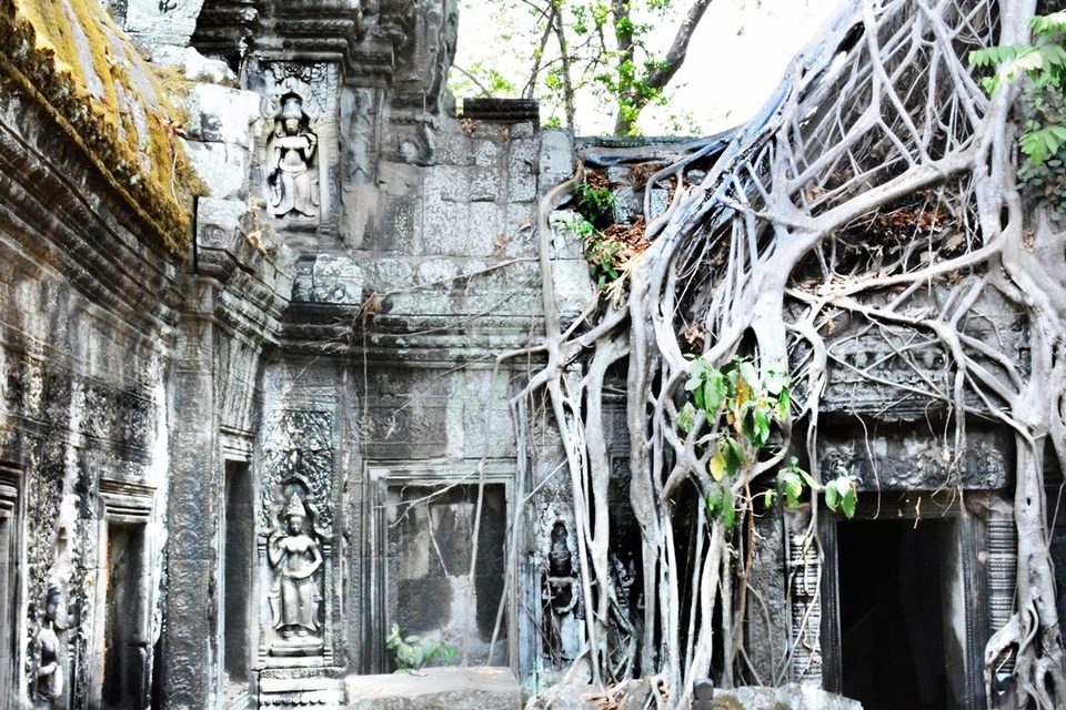 Ta Prohm, a temple bound by massive roots of huge trees