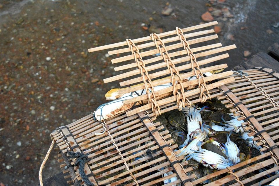 Basket of Cambodian Crabs, Kampot
