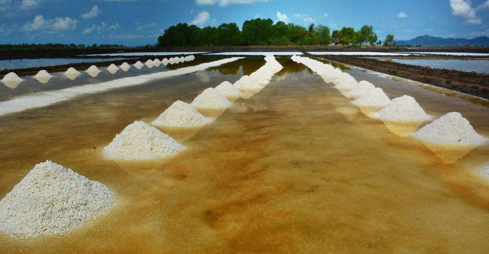 Salt fields between Kampot and Kep