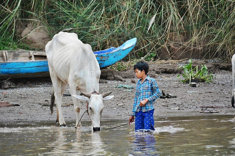 life on the Mekong River