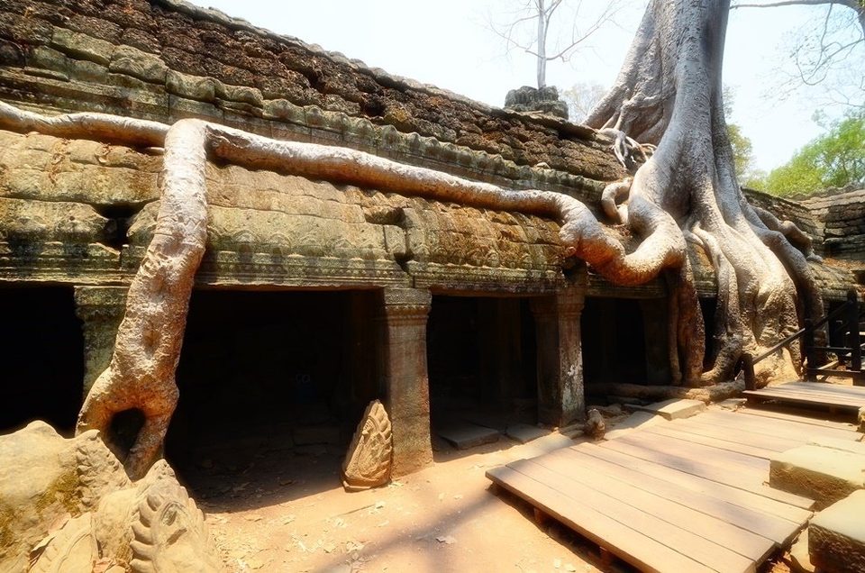 Ta Prohm, a temple bound by massive roots of huge trees