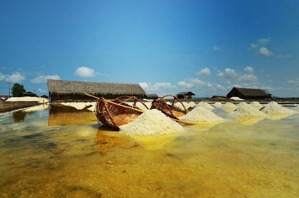 Salt fields between Kampot and Kep
