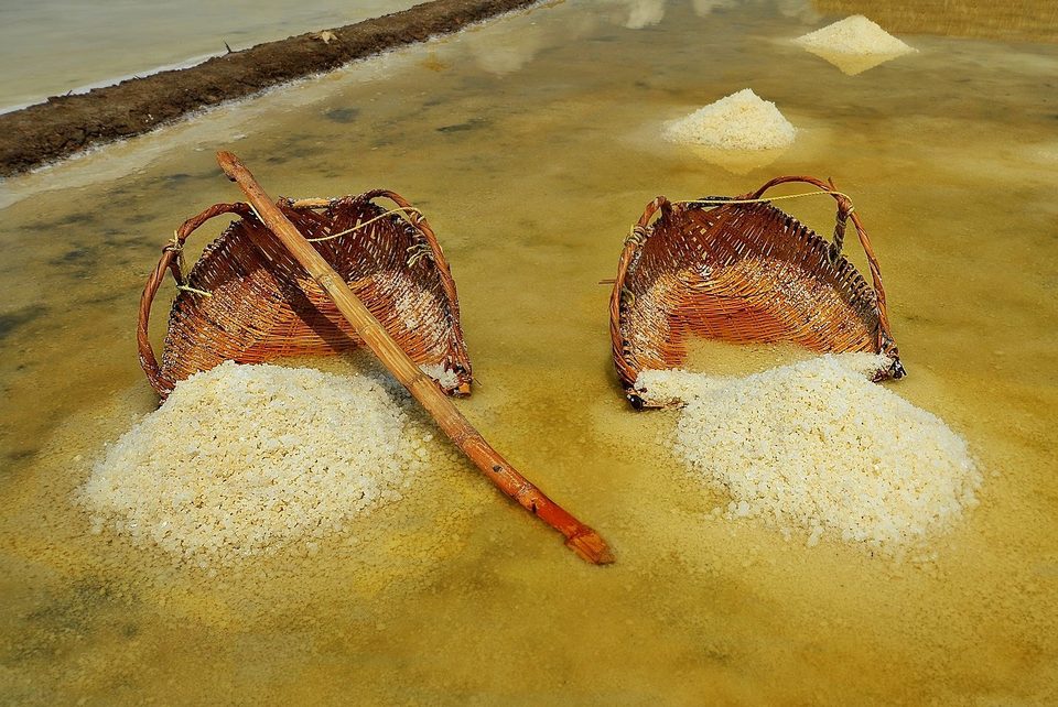 Salt fields between Kampot and Kep