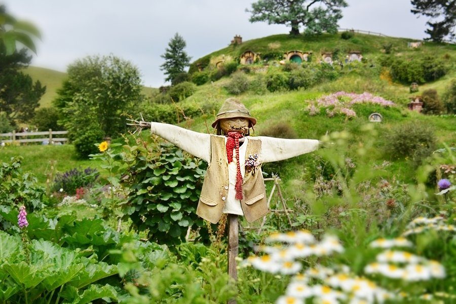 Hobbiton, Matamata New Zealand