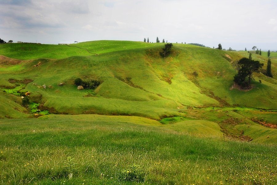 Hobbiton, Matamata New Zealand