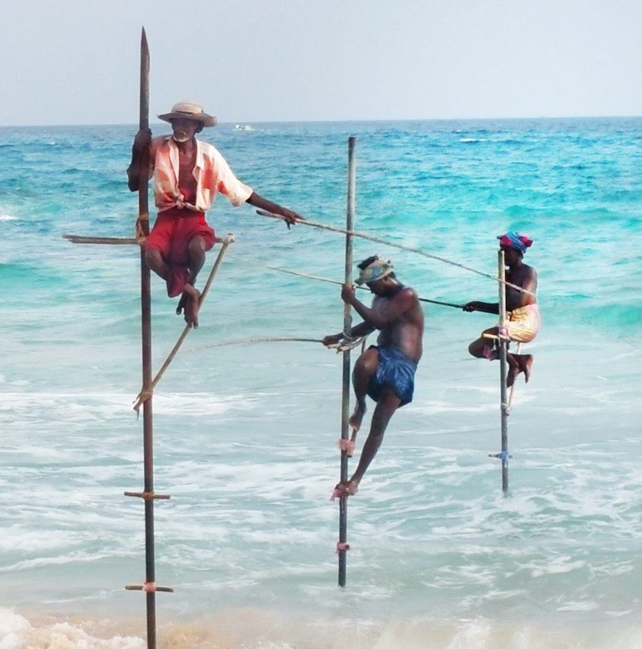 Sri Lankan stilt fishing