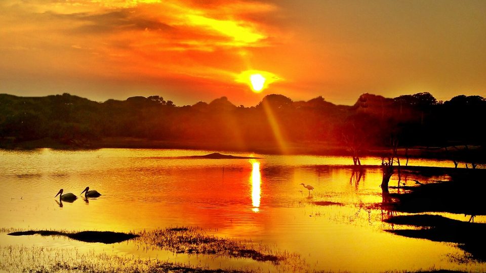 Yala, a huge area of forest, wetland and lagoons bordering the Indian Ocean, southeast Sri Lanka