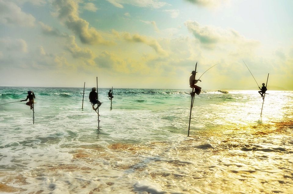 Sri Lankan stilt fishing